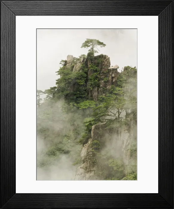 Framed Print : DDE-90024132 Framed Print : DDE-90024132
