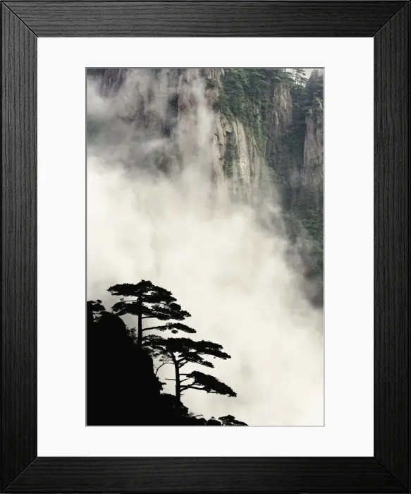 Framed Print : DDE-90024133 Framed Print : DDE-90024133