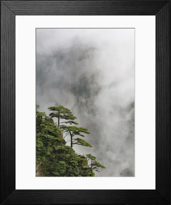 Framed Print : DDE-90024134 Framed Print : DDE-90024134