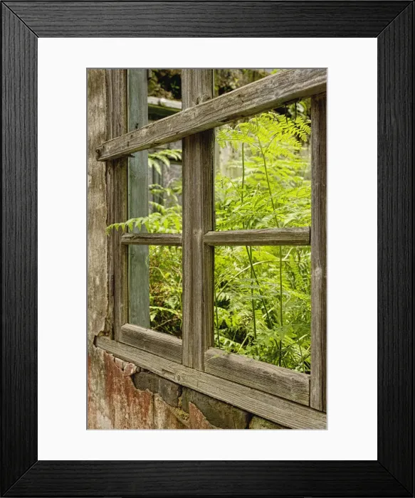 Framed Print : DDE-90024140 Framed Print : DDE-90024140