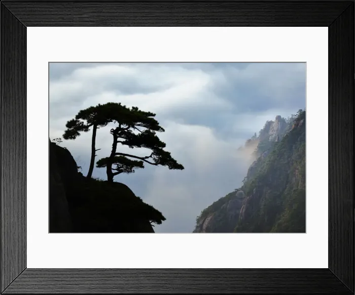 Framed Print : DDE-90024152 Framed Print : DDE-90024152
