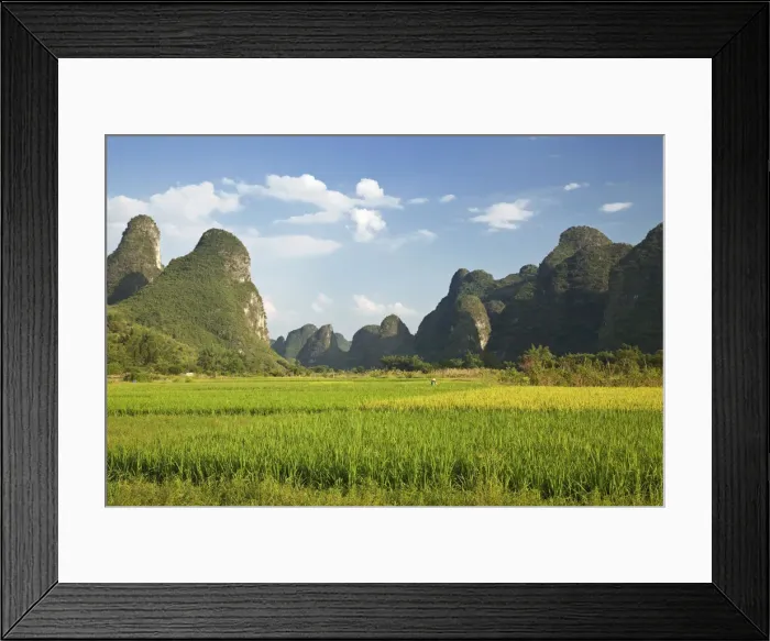 Framed Print : DDE-90024156 Framed Print : DDE-90024156