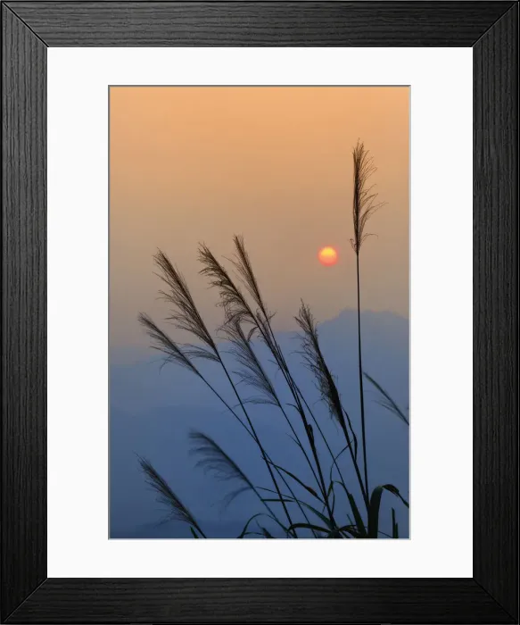 Framed Print : DDE-90024157 Framed Print : DDE-90024157