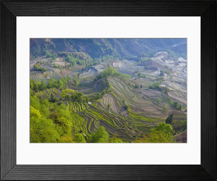 Framed Print : DDE-90024163