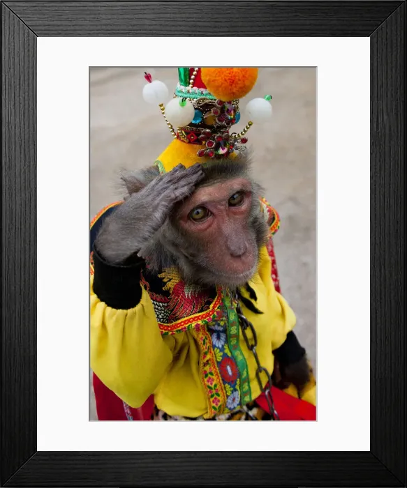 Framed Print : DDE-90024165 Framed Print : DDE-90024165