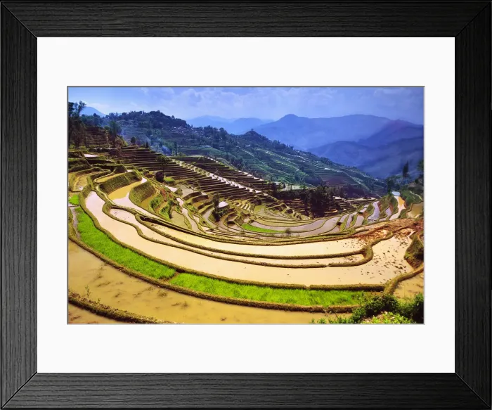 Framed Print : DDE-90024174 Framed Print : DDE-90024174