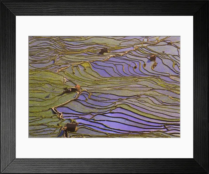 Framed Print : DDE-90024175 Framed Print : DDE-90024175