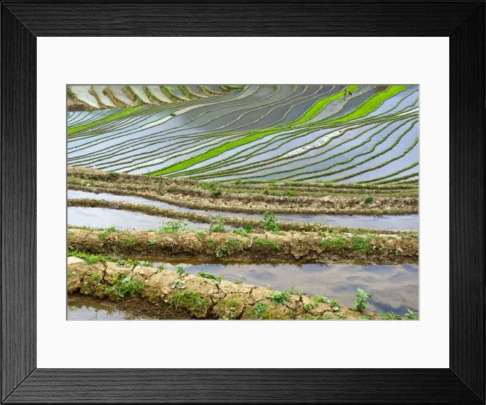 Framed Print : DDE-90024176 Framed Print : DDE-90024176