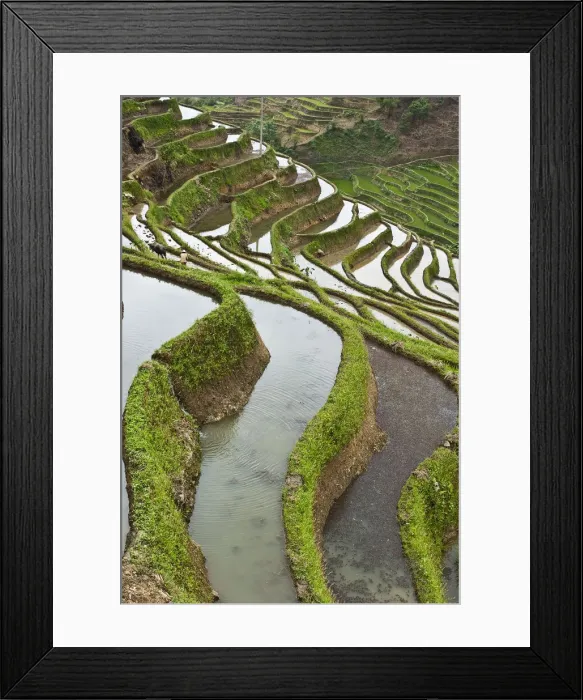 Framed Print : DDE-90024177 Framed Print : DDE-90024177