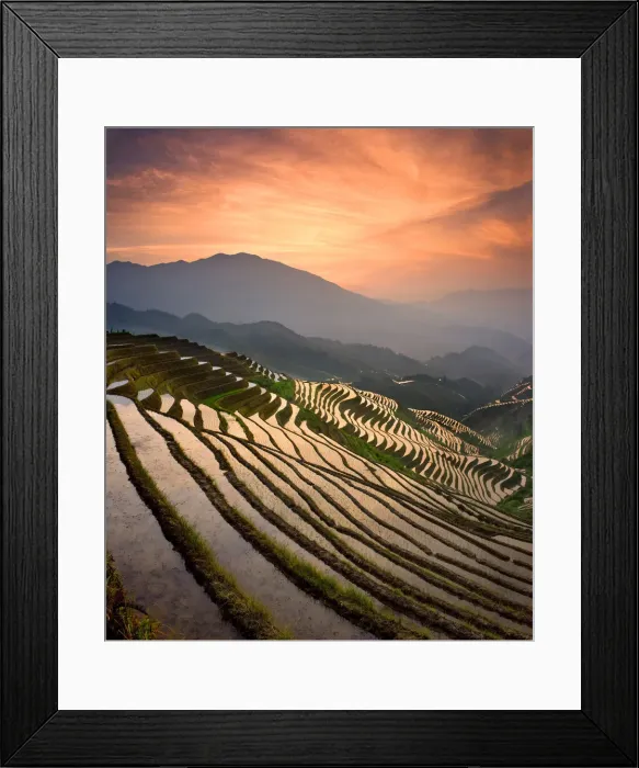 Framed Print : DDE-90024182 Framed Print : DDE-90024182