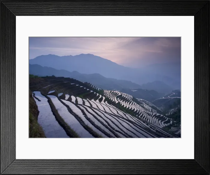 Framed Print : DDE-90024184