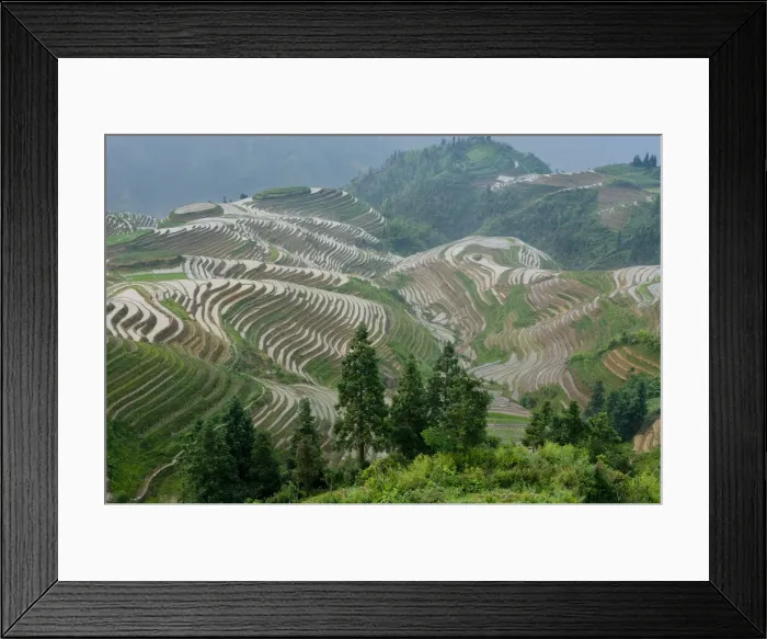 Framed Print : DDE-90024185 Framed Print : DDE-90024185