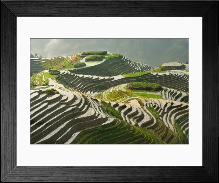 Framed Print : DDE-90024186 Framed Print : DDE-90024186