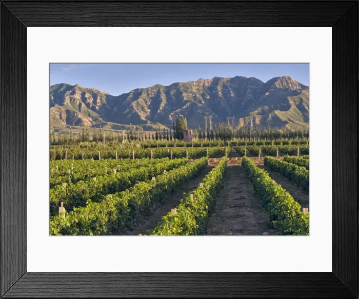 Framed Print : DDE-90024187 Framed Print : DDE-90024187
