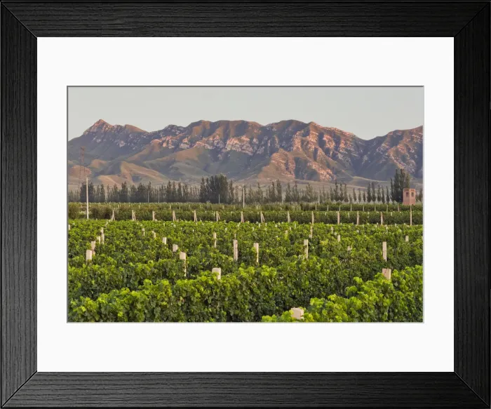 Framed Print : DDE-90024188 Framed Print : DDE-90024188