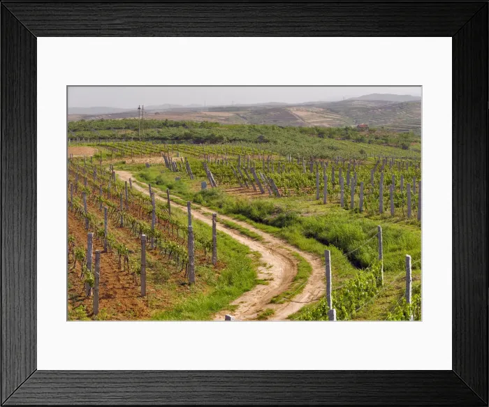 Framed Print : DDE-90024189 Framed Print : DDE-90024189