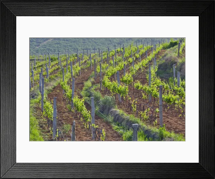 Framed Print : DDE-90024190 Framed Print : DDE-90024190