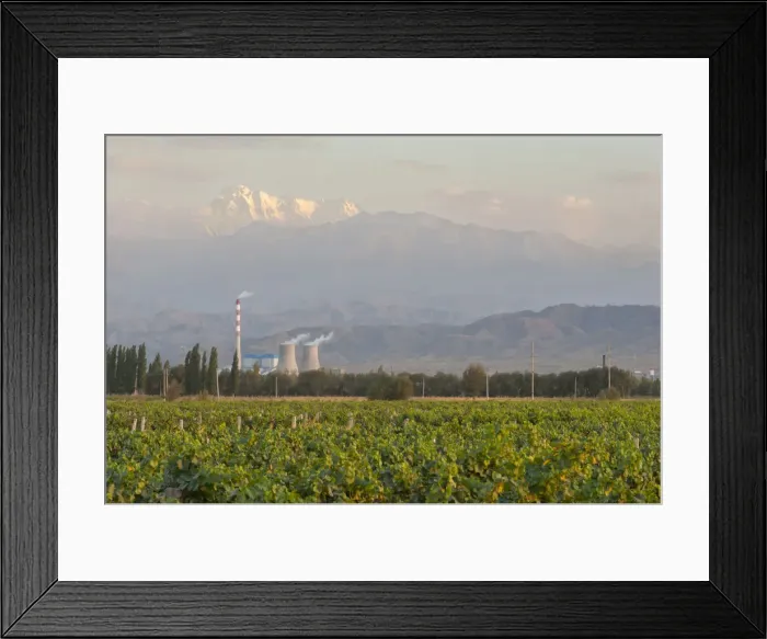 Framed Print : DDE-90024193 Framed Print : DDE-90024193