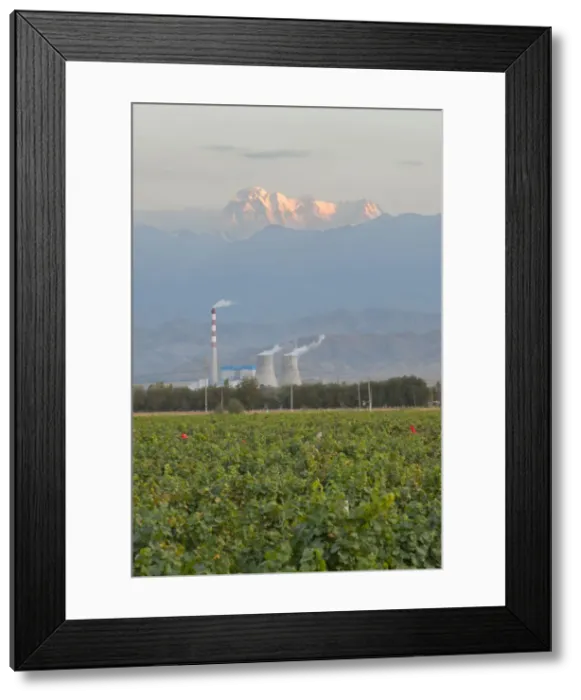 Framed Print : DDE-90024194 Framed Print : DDE-90024194