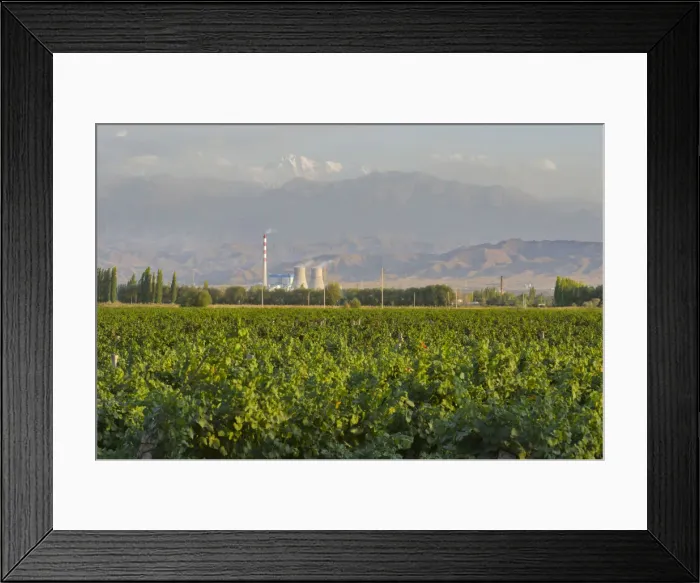 Framed Print : DDE-90024195 Framed Print : DDE-90024195
