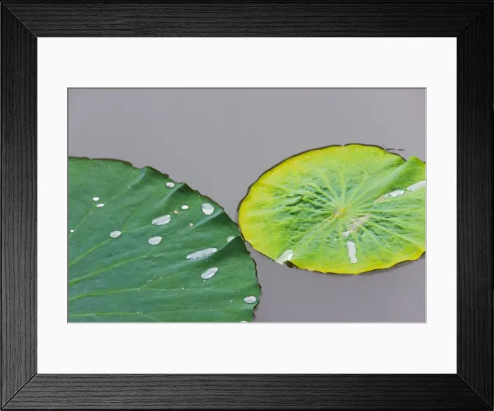 Framed Print : DDE-90024218 Framed Print : DDE-90024218