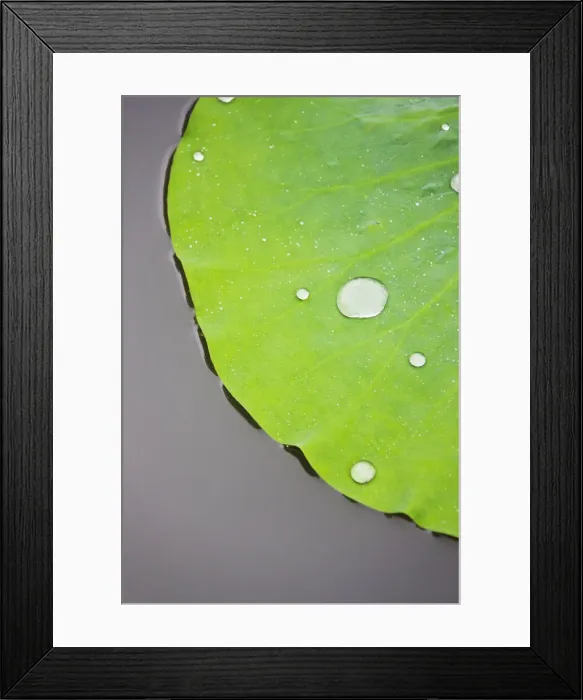 Framed Print : DDE-90024219 Framed Print : DDE-90024219