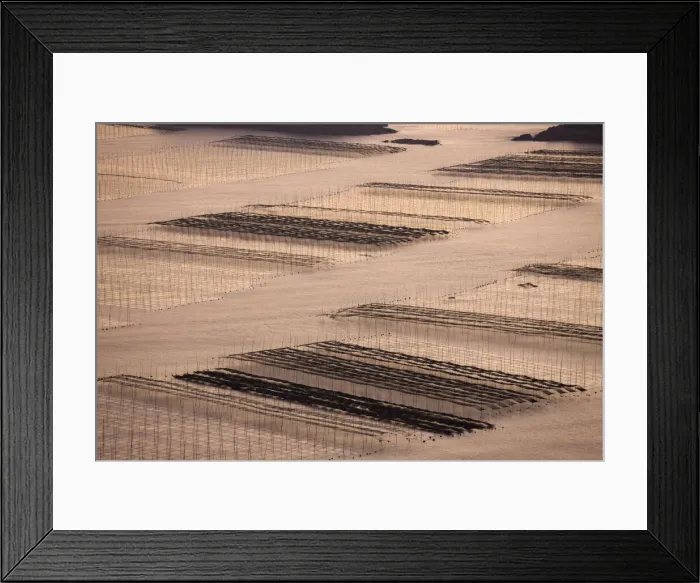 Framed Print : DDE-90024221 Framed Print : DDE-90024221