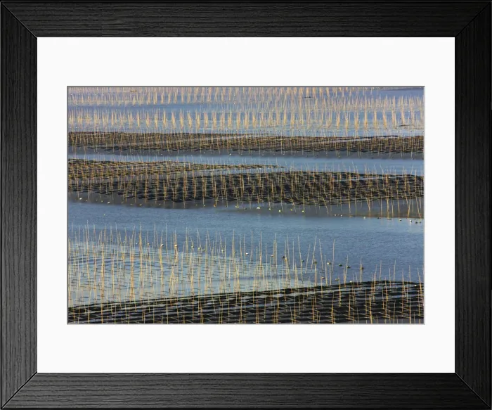 Framed Print : DDE-90024222 Framed Print : DDE-90024222