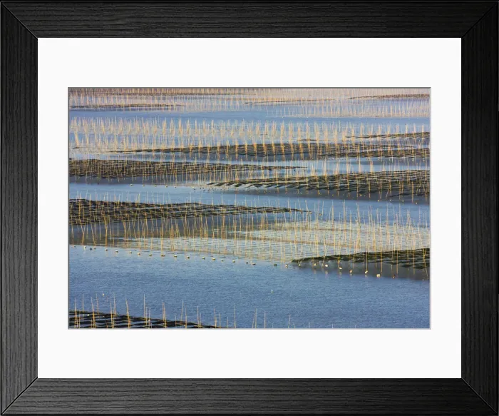 Framed Print : DDE-90024223 Framed Print : DDE-90024223