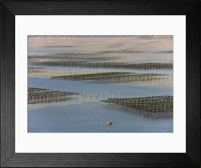 Framed Print : DDE-90024224 Framed Print : DDE-90024224