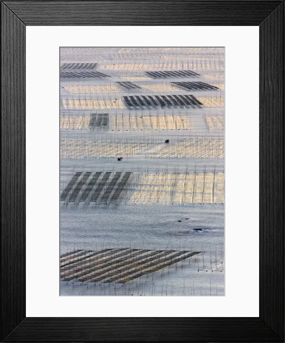 Framed Print : DDE-90024225