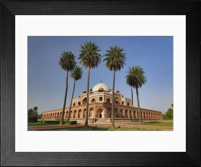 Framed Print : DDE-90024246 Framed Print : DDE-90024246