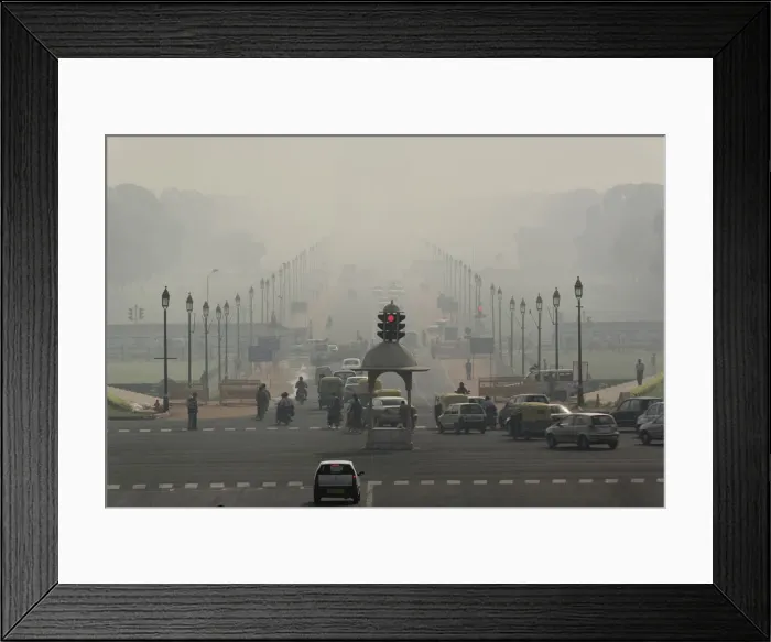 Framed Print : DDE-90024256 Framed Print : DDE-90024256