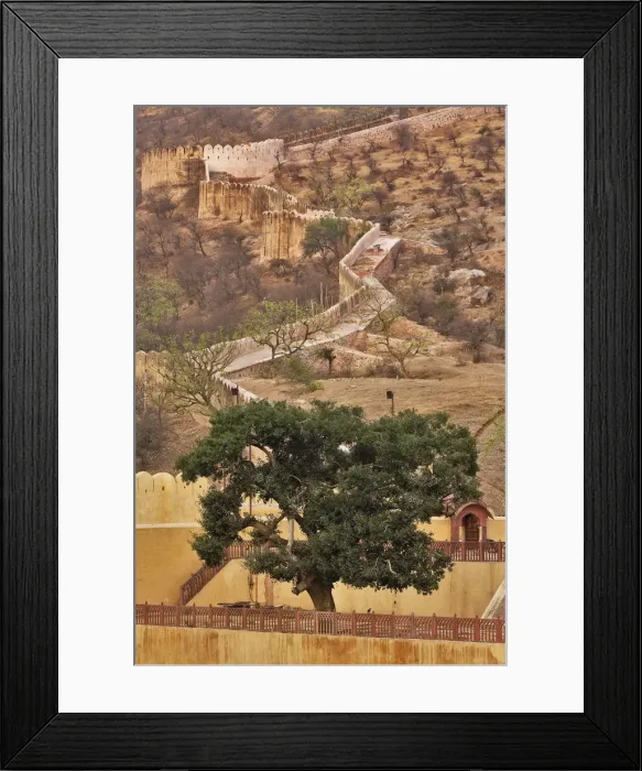 Framed Print : DDE-90024259 Framed Print : DDE-90024259