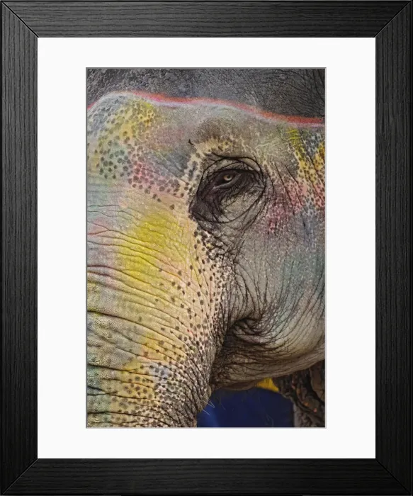 Framed Print : DDE-90024263