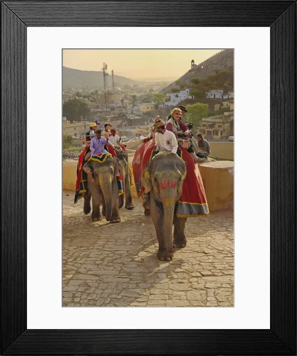 Framed Print : DDE-90024265 Framed Print : DDE-90024265