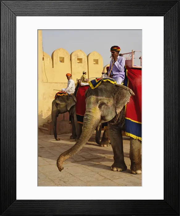 Framed Print : DDE-90024266