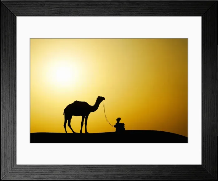 Framed Print : DDE-90024267 Framed Print : DDE-90024267