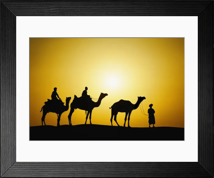 Framed Print : DDE-90024268 Framed Print : DDE-90024268