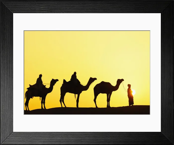 Framed Print : DDE-90024269 Framed Print : DDE-90024269