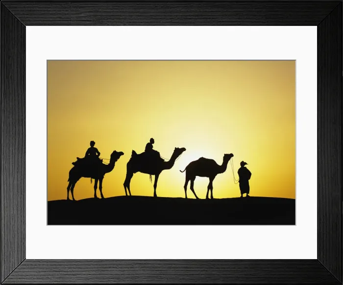Framed Print : DDE-90024291 Framed Print : DDE-90024291