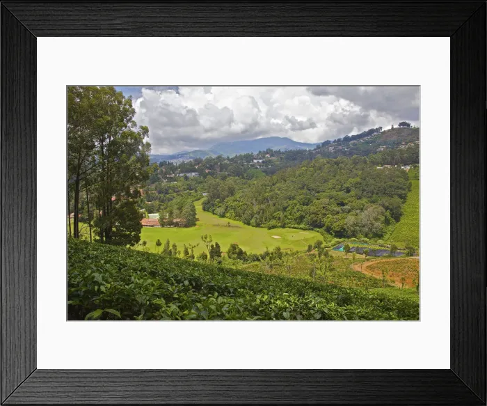 Framed Print : DDE-90024302 Framed Print : DDE-90024302