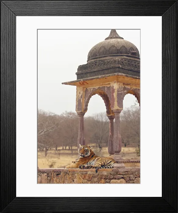 Framed Print : DDE-90024394 Framed Print : DDE-90024394