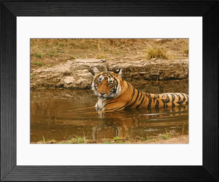 Framed Print : DDE-90024410 Framed Print : DDE-90024410