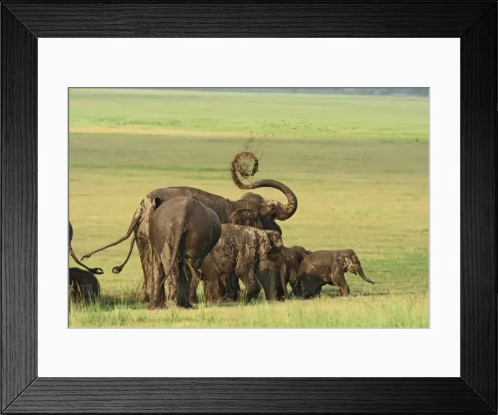 Framed Print : DDE-90024422 Framed Print : DDE-90024422