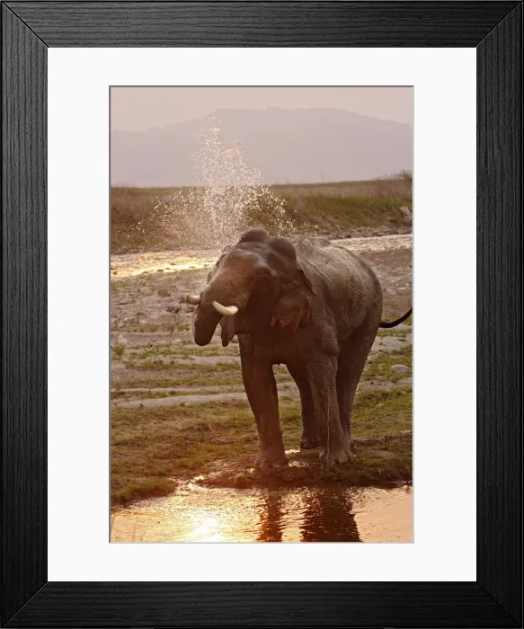 Framed Print : DDE-90024454 Framed Print : DDE-90024454