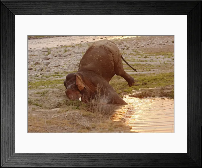 Framed Print : DDE-90024455 Framed Print : DDE-90024455