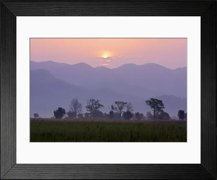 Framed Print : DDE-90024465