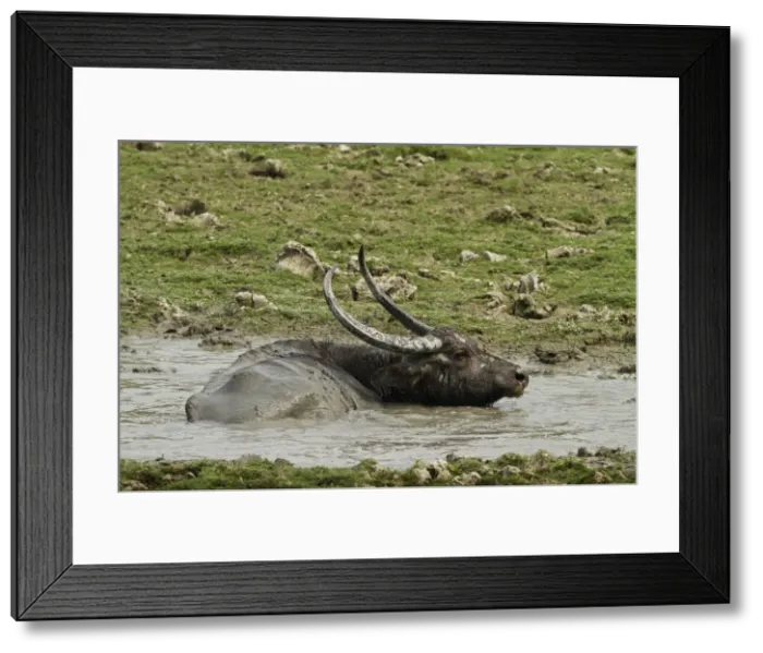 Framed Print : DDE-90024507 Framed Print : DDE-90024507