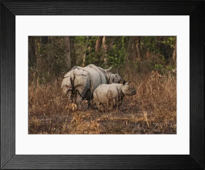 Framed Print : DDE-90024510 Framed Print : DDE-90024510